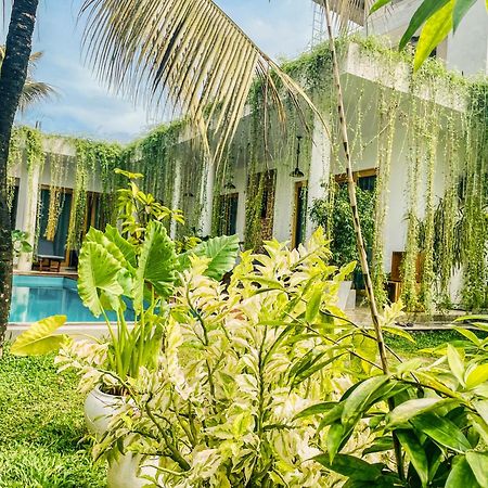 Eton Villa Диквелла Экстерьер фото